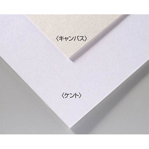 【20個セット】 ARTEC A&Bオリジナルアートボード B4キャンバス ATC143304X20