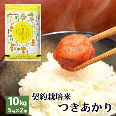 楽天市場 契約栽培米 つきあかり 5kg 令和 3年産 送料無料 米 ミツハシライス お米 おこめ 日本米 人気 月明かり 大粒 粘り うまみ もっちり ミツハシ 米 白米 コンビニ受取対応 ミツハシライス お米 玄米 雑穀