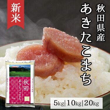 楽天市場】新米 無洗米 秋田県産 あきたこまち 5kg 10kg 20kg 令和 6年産 ｜ 送料無料 ミツハシライス 無洗 白米 国産 国内産  秋田県 あきたこまち アキタコマチ 人気 おすすめ 美味しい おいしい 定番 5キロ 10キロ 20キロ コンビニ受取対応 幸浦 :  ミツハシライス（お米 ...