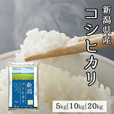新潟県産 コシヒカリ 5kg 10kg 20kg 令和 7年産 ｜ 送料無料 ミツハシライス 一般米 精米 白米 国産 国内産 新潟県 こしひかり 人気 おすすめ 美味しい おいしい 定番 5キロ 10キロ 20キロ コンビニ受取対応 幸浦 14,508円