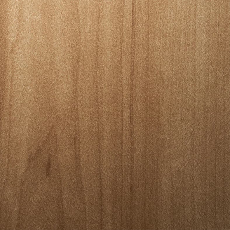 ＜3M＞＜ダイノック＞写真フィルム Wood 素っ気ない白木 メイプル 木地 DW-1873MT 原反巾 1220粍 ×1m