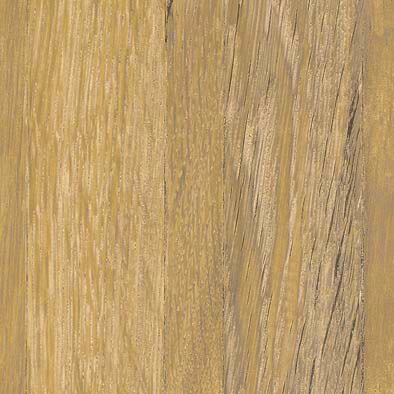 ＜3M＞＜ダイノック＞写真フィルム Finewood ファインウッド オーク材 立ちはだかる FW-1306 原反巾 1220粍 1巻（50m）
