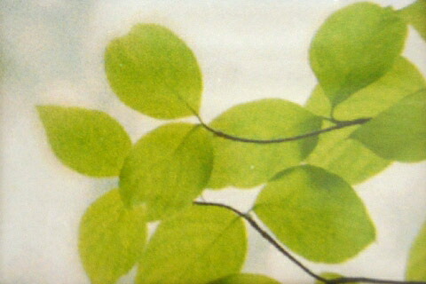 ガラスフィルム窓飛散防止シートScotchtintWindowFilmSH2CLHF<3M><スコッチティント>親水性フィルム1150mm×30m1巻UVカット透明飛散防止【東京23区当日着便指定可(手数料別途)】【あす楽対応】