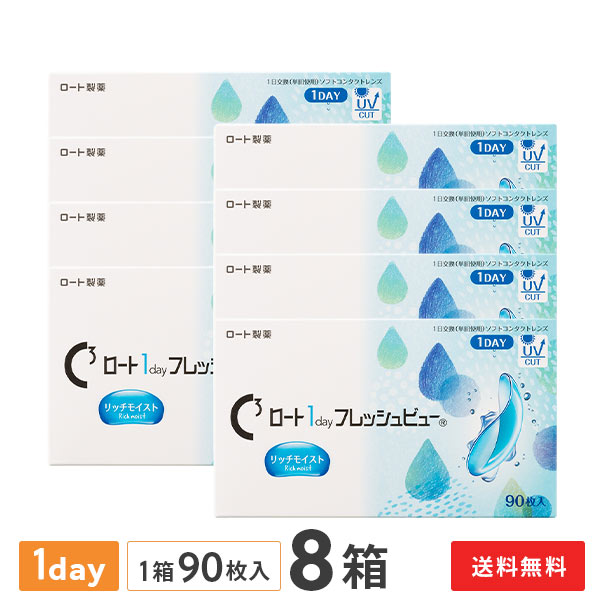 【貨物輸送無料】ロートワンデーフレッシュビューリッチモイスト 90枚入 8箱仕掛ける 1日使い捨てコンタクトレンズ（1箱90枚入り口・入口 / 一デー / 1day / ROHTO / 近眼 / 老眼 ）
