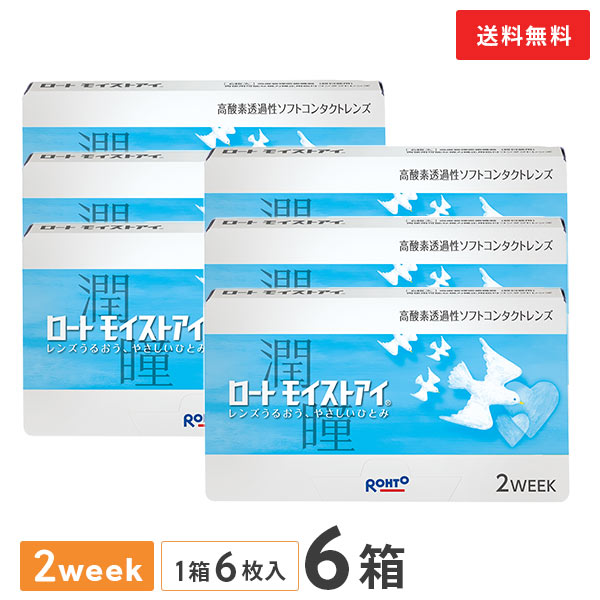 【送料無料】ロート モイストアイ 6箱セット　2週間使い捨てコンタクトレンズ（1箱6枚入り / 2ウィーク / 2week / ROHTO / 近視 / 遠視 ）｜コンタクトレンズ通販365レンズ