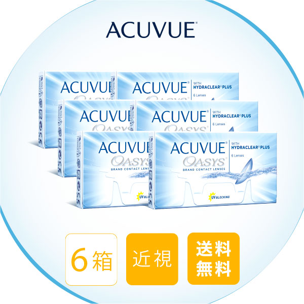 【貨物輸送無料】アキュビューオアシス（近眼用） 6箱仕掛ける 使い捨てコンタクトレンズ2週終日装用取り替えっこ手合い（2週 / ジョンソン\u0026ジョンソン / アキュビュー / オアシス /）