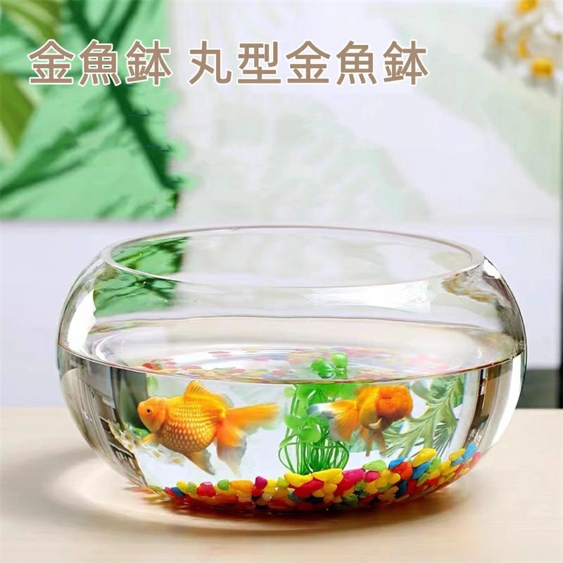 明治～大正時代　鳳凰丸紋火鉢　ニユウ無し　メダカ　観葉植物　金魚鉢　インテリア 明治～大正時代 鳳凰丸紋火鉢 ニユウ無し メダカ 観葉植物