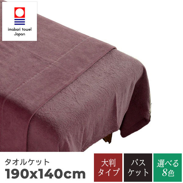 【今治タオル】大判ケット 140×190cm 3,840匁 タオルケット ベッドタオル 速乾 吸水 高耐久 長持ち 今治産 業務用 エステ サロン 施術ベッド用 リラクゼーション シンプル 無地 寝具 マッサージベッド スパ用 岩盤浴 整体院 アロマサロン リネン用品 ベッドカバー 8,193円