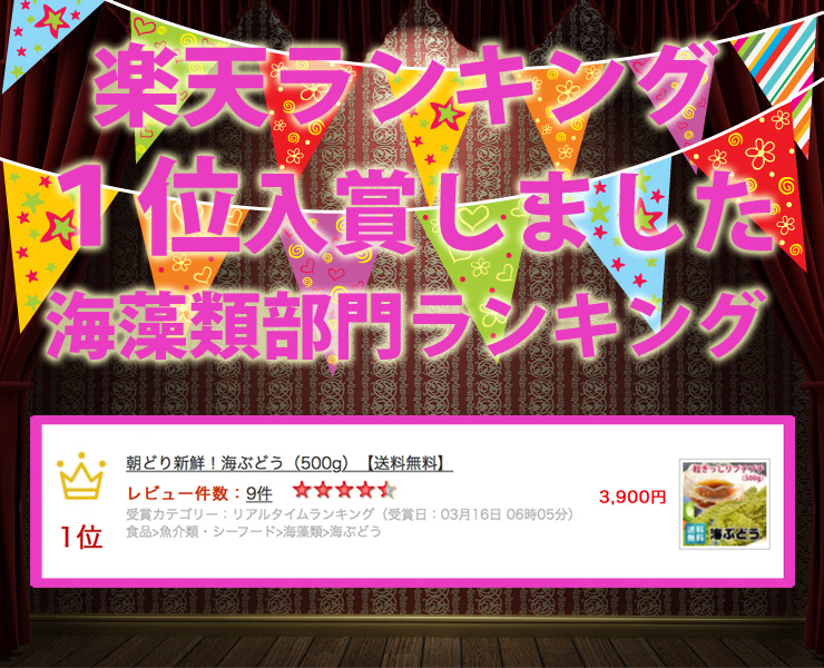 市場 朝どり新鮮 居酒屋 沖縄 茎なし 生海ぶどう 500g 宮古島産 送料無料