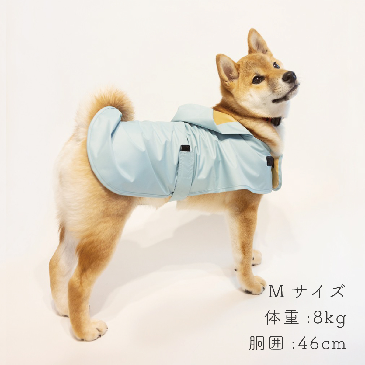 392 Plus プリュス レインコート ドッグウェア エム Poncho ポンチョ サンキューニ Dog ドッグ 犬用レインコート 犬 M レイン ウェア