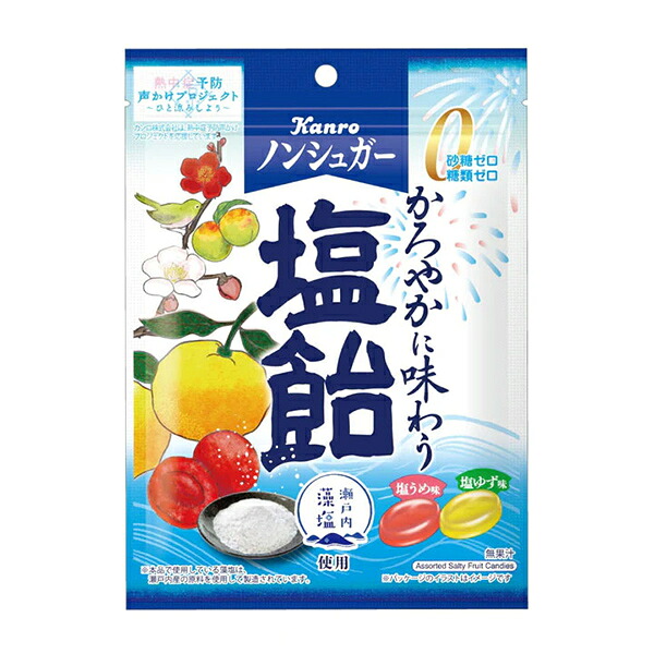 カンロ ノンシュガー塩飴 70g（個装紙込み） 60コ入り 2026/03/09発売 (4901351002872c)