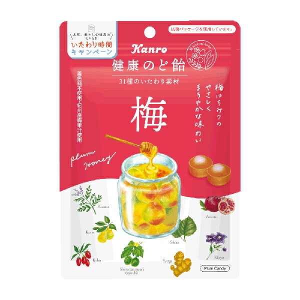 カンロ 健康のど飴梅 90g 48コ入り 2020 09 06発売 (4901351012857c)