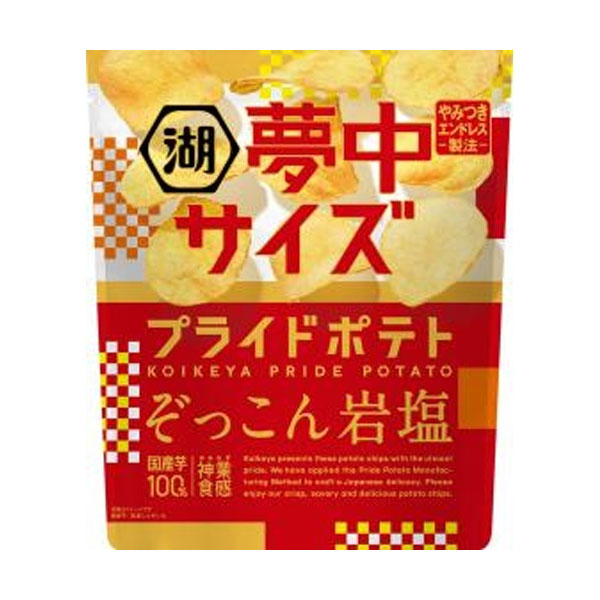 湖池屋 夢中サイズ プライドポテト ぞっこん岩塩 102g 12コ入り 2025/03/31発売 (4514410179431)