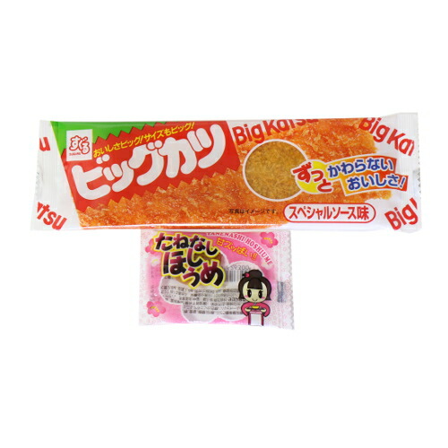 全国送料無料 おつまみ定番 駄菓子たねなしほしうめ 50コ ビッグカツ