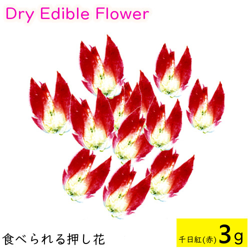 全国送料無料 食べられる押し花 ドライエディブルフラワー 千日紅 赤 3g 食用花 ドライフラワー 有限会社トム メール便 Omtmb6274 在庫あり 即納 全国送料無料 食べられる押し花 ドライエディブルフラワー 千日紅 赤 3g 食用花 ドライフラワー 有限会社トム メール便 Omtmb6274 在庫あり 即納