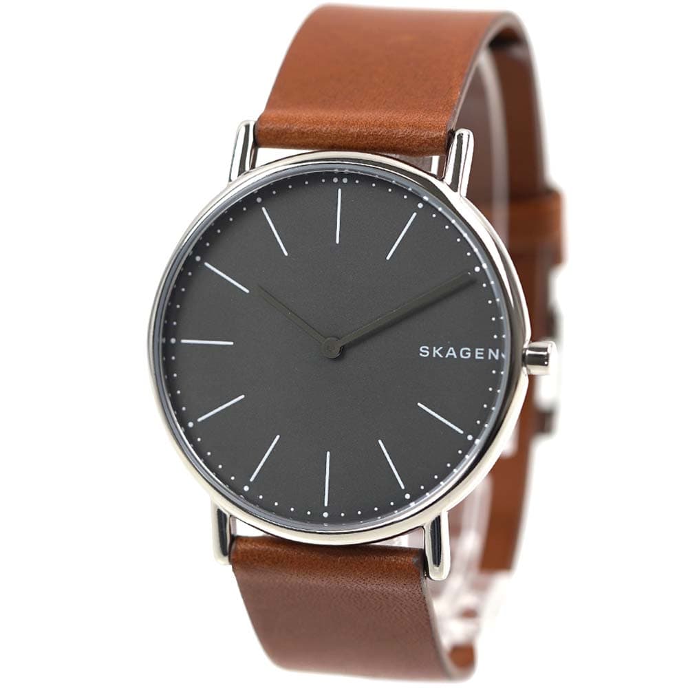 スカーゲン SKAGEN 腕時計 メンズ SIGNATUR シグネチャー チタンケース SKW6429
