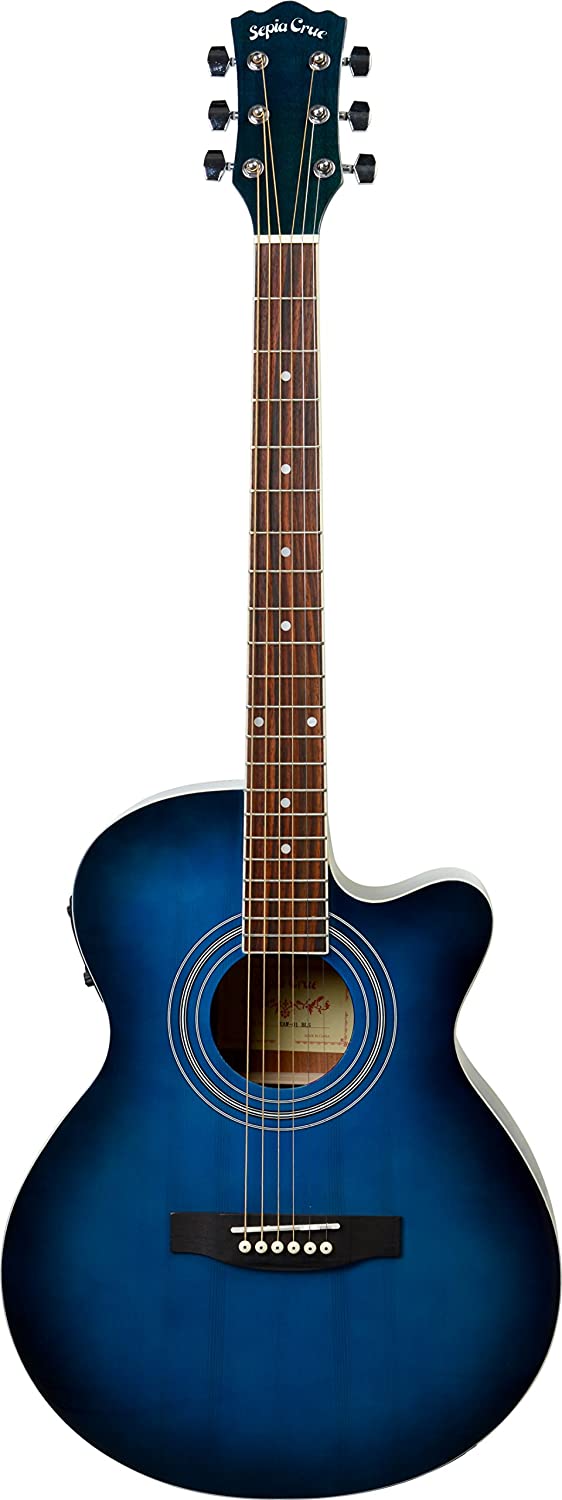 楽天市場】EKO Aire Relic Sunburst (サンバースト) エレキ
