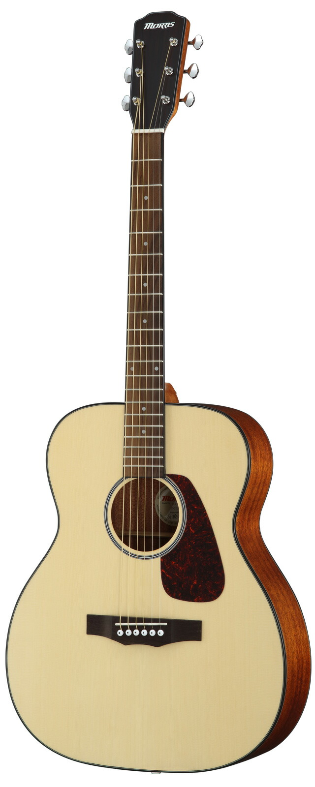 楽天市場】MORRIS F-354 NATモーリス アコースティックギター F
