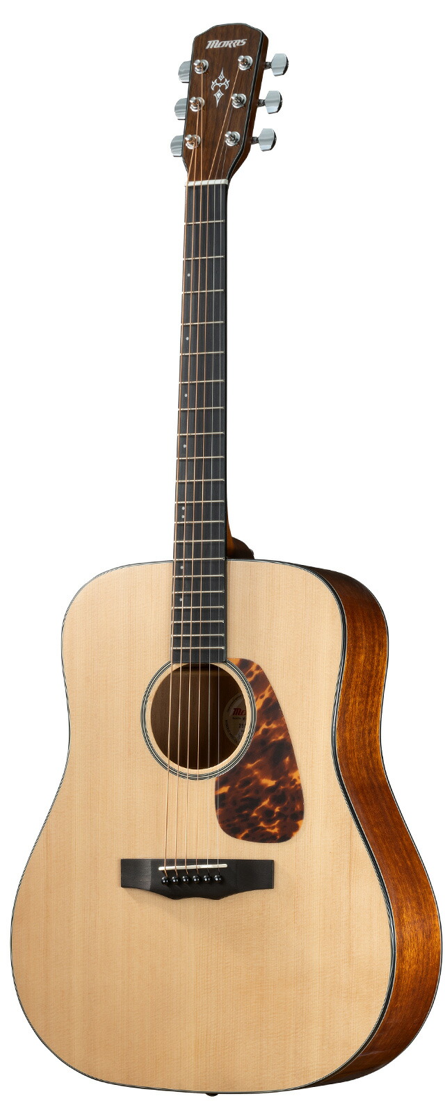 モーリスギター　M-35 NAT M-35 | 生産完了品 | MORRIS GUITARS モーリスギター