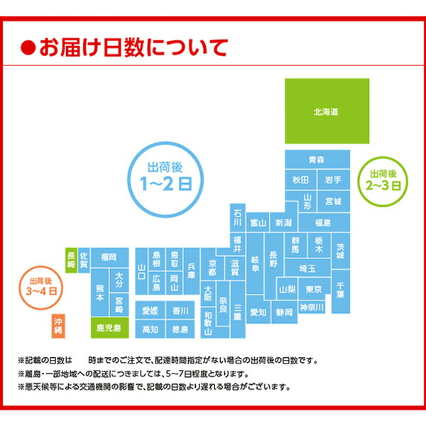 アクエリアス1日分のマルチビタミン 2L 1ケース 6本 コカコーラ スポーツドリンク ペットボトル 最大55%OFFクーポン ペットボトル