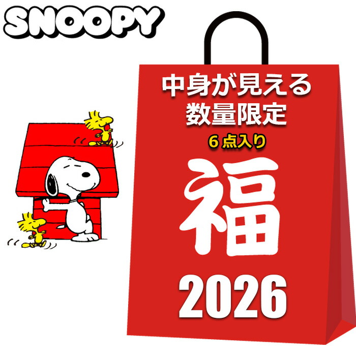 スヌーピー詰め放題の福箱100サイズ☆ 早い者勝ち！スヌーピー詰め放題30商品入りの福箱100サイズA