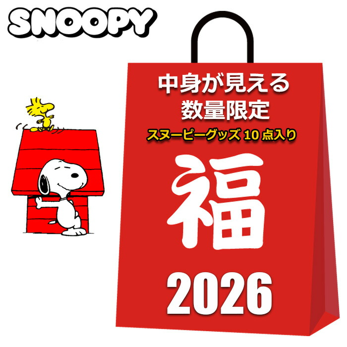 2025年残り福箱【スヌーピーワイパー】 パーフェクトワールド