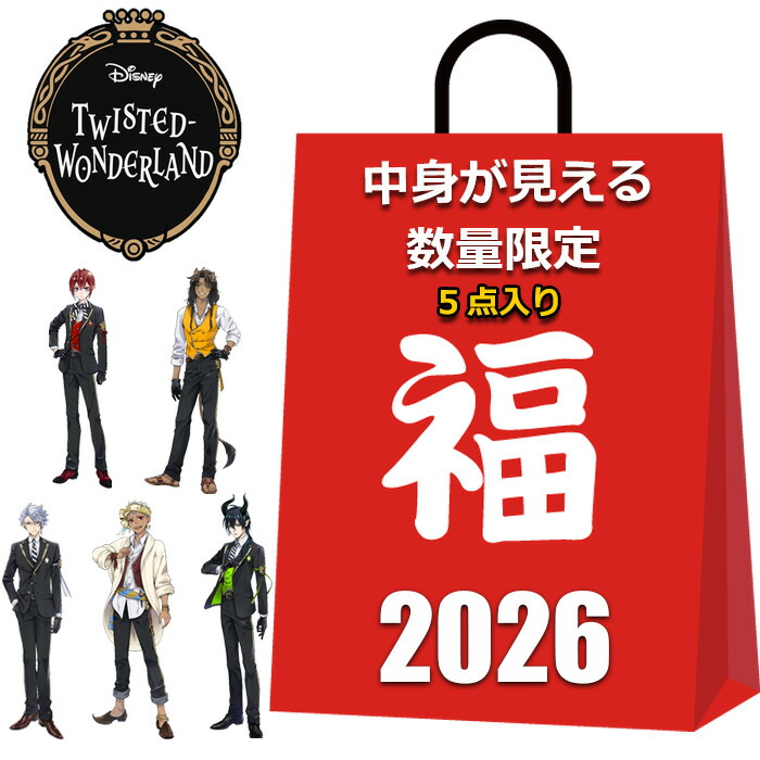 ディズニーツイステッドワンダーランド　ツイステまとめ売り　合計40点以上 ツイステ 27点 まとめ売り ディズニー ツイステッドワンダーランド