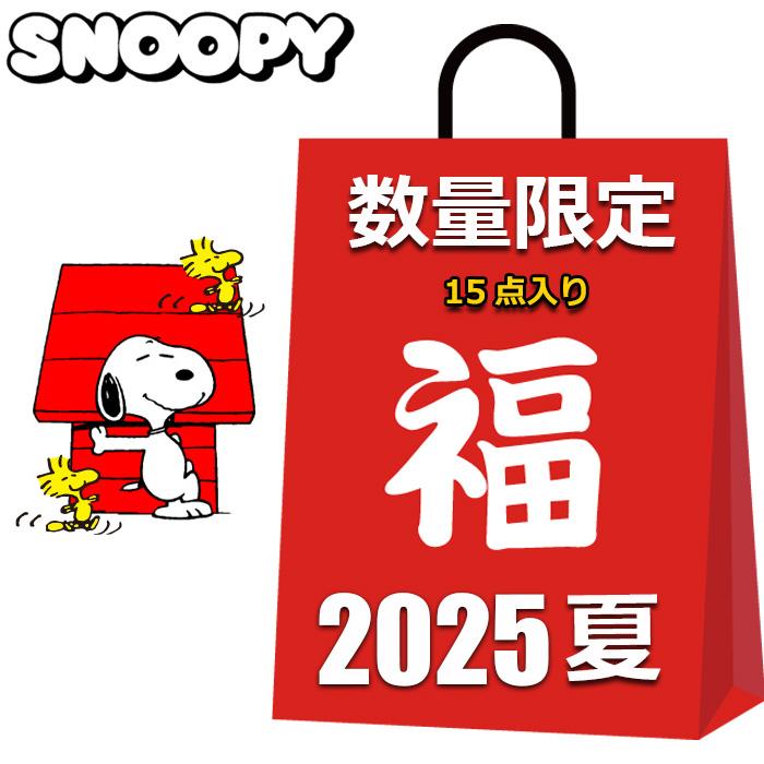 おせっかい グッズ 初売り 福袋 大売り出し 2026 キッズ レディース メンズ  必ず15点入って おせっかいグッズ 御徒面子 雑貨 小物 余分の物グッズ レディース キッズ 御嬢さん お上さん まとめ売り PEANUTS SNOOPY 雑貨 夏 冬 粗品 差し上げ物取り替えっこ 余興 でき事 オススメ お買得 得
