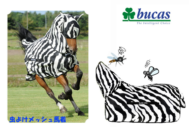 楽天市場】【7/1 新入荷】 【bucas/ビューカス 】バズオフゼブラフライ 