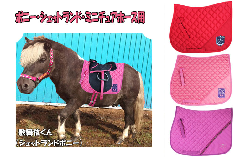 3horses セール ポニー用 ミニチュアホース 大 ゼッケン Sale 乗馬 ポニー専門店 セール 乗馬用品 総合用 乗馬 シェトランドポニー 大き目ミニチュアホース用ゼッケンhorze ホーズ ポニーサドルパッド ゼッケン 鞍 ゼッケンブリティッシュ 乗馬用品 サドルパッド
