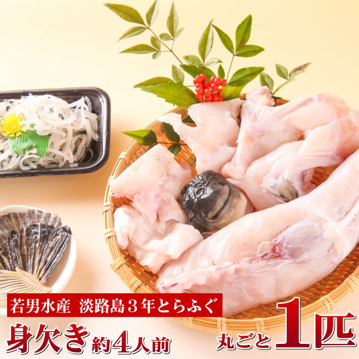 3年とらふぐ 丸ごと1匹身欠き(元魚1.3kg:大きくなりました )約4人前 ふぐ鍋 お取り寄せグルメ ふぐ 淡路島3年とらふぐ 若男水産