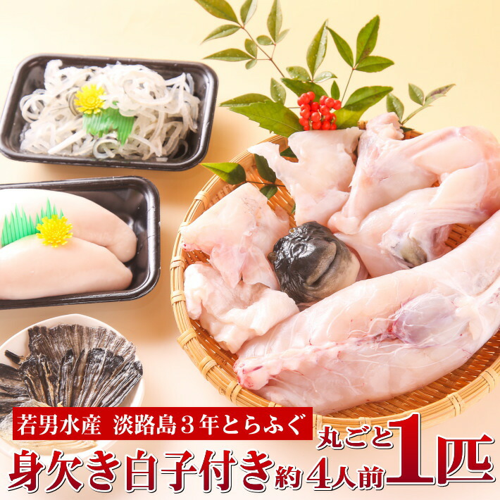 3年とらふぐ 丸ごと1匹 身欠き白子付き (元魚1.3kg:大きくなりました )約4人前 ふぐ鍋 お取り寄せグルメ ふぐ 白子 セット 淡路島3年とらふぐ 若男水産
