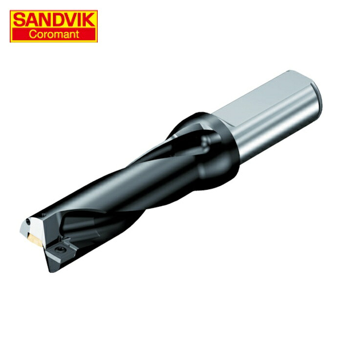 サンドビック SANDVIK 880-D1750L25-02 刃先取り替えっこ式せん孔機 百貨店Uせん孔機(465) (1本)