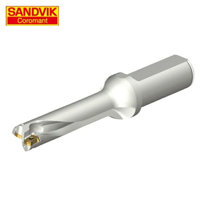 サンドビック SANDVIK DS20-D1900L25-04 コロドリルDS20刃先交換式ドリル(465) (1本) 51,358円