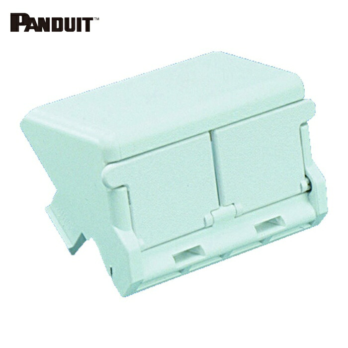 パンドウイット PANDUIT CHS2SIW-X 1/2サイズ2ポート用傾斜型シャッター付きアダプタ枠(10個入) (1袋)