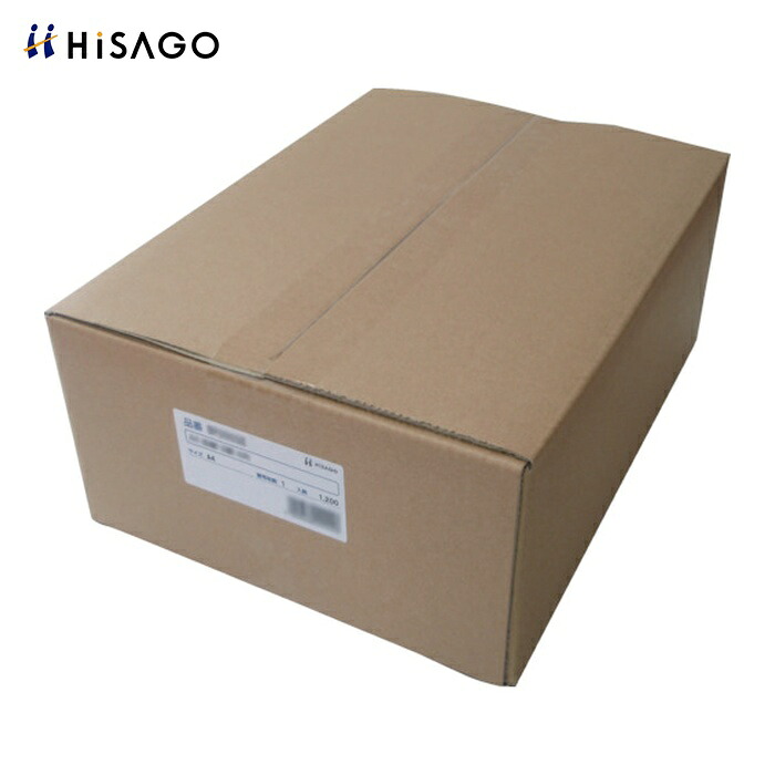 ヒサゴ HISAGO 転写物捏ち上げる押しとどめる質問用紙釣り浮き文字記号印字機A4 (1箱) BP2060Z