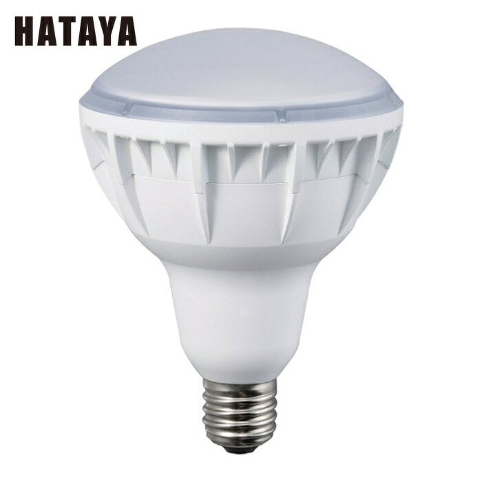ハタヤ LDR40N-H110 40W LED作業灯用交換球 (1個)