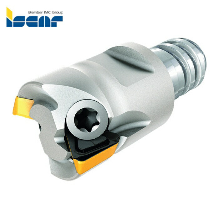 イスカル ISCAR HM390 ETP D10-02-MMT06-05 フライス工具 ヘリ3ミル ホルダ HM390 ETP-MM-05 刃数2枚 刃径10mm シャンク径10mm (1本)