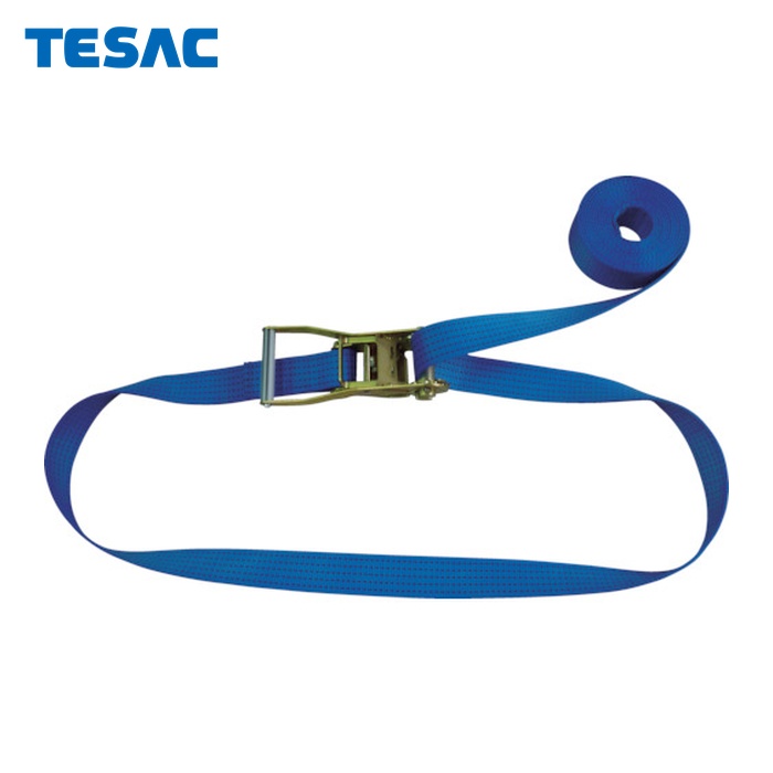 テザック TESAC R50N060-000A ラッシングベルト(胴締め荷締機)ラチェットバックル式エンドレスタイプ (1台) DIY・工具-ベルト荷締機