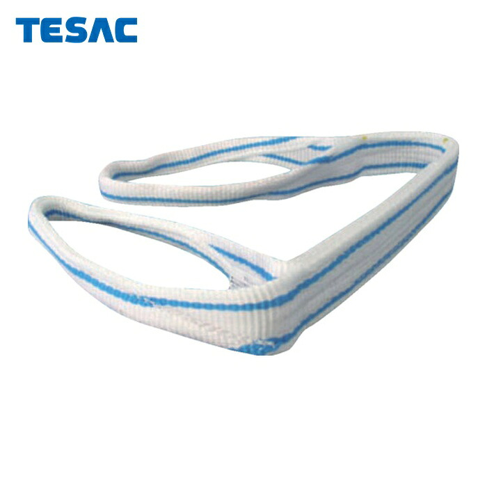 テザック TESAC PP2E50X4 耐化学薬品用スリング(JIS2等級・両端アイ形)50mm幅×4m (1本)