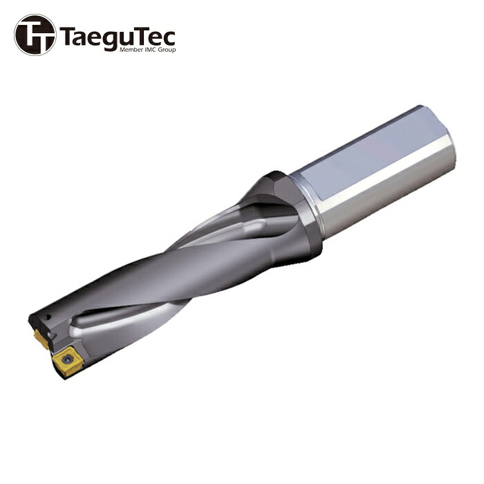 テグテック TAEGUTEC TOP 3125-20T2-04 刃先交換式ドリルホルダー トップドリル (1本)|工具ランド