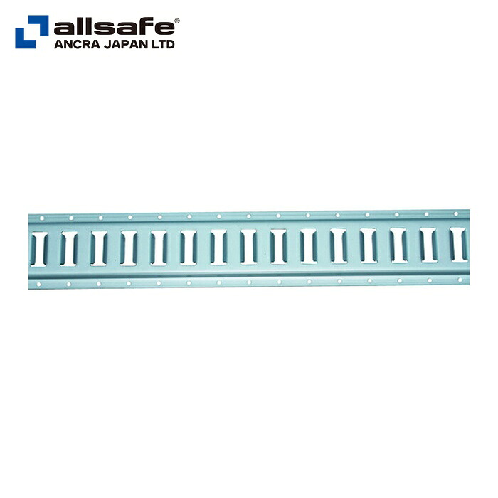 allsafe オールセーフ TR-SH スチール写真線路 穴有 (1本)