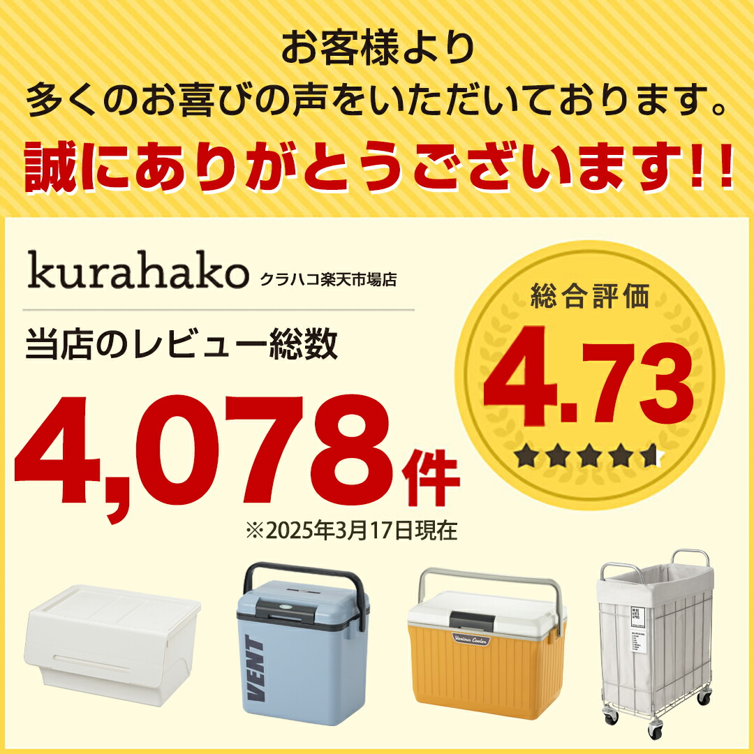 【クーポンで10%OFFP5倍9/1限定】COOLERSHOCK(クーラーショック)S保冷剤保冷パック強力保冷クーラーボックスアイス氷アイスパックアウトドアレジャーキャンプバーベキュー冷凍長時間新生活