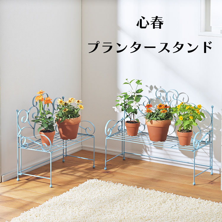 楽天市場】【11/18限定 クーポンでほぼ全品10%OFF!】 【園芸