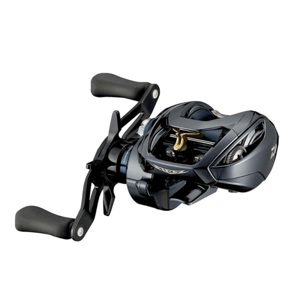 ダイワ(DAIWA) 21 スティーズ A TW HLC 7.1R リール本体-フィッシング-リール