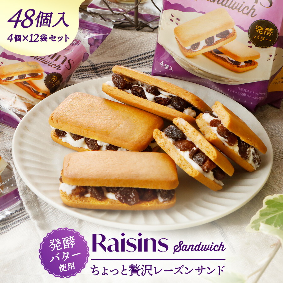 【4/14 20時~ポイント5倍】業務用 レーズンたっぷり！レーズンサンド4個入12袋セット ばらまき お菓子 大容量 大量 個包装 スイーツ おやつ 焼き菓子 ラムレーズン クッキー 工場直販 プレゼント