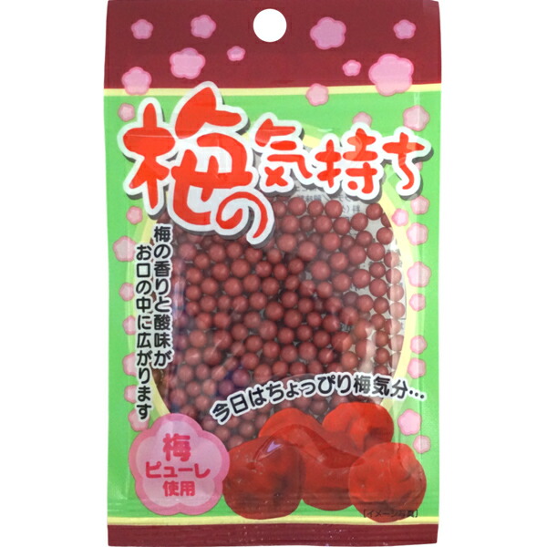 楽天市場】100円 プラレールグミ [1箱 10個入]【駄菓子 電車 グミ