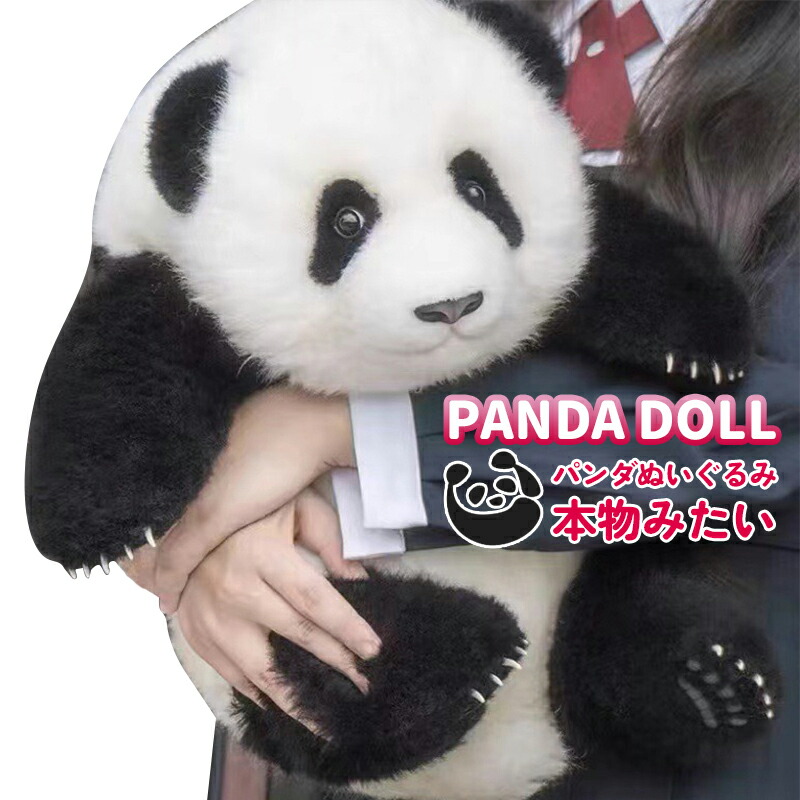 パンダのぬいぐるみ 2個入り 楽天市場】ラブリー パンダ ぬいぐるみM/大（プチ パンダ 大） （J-150