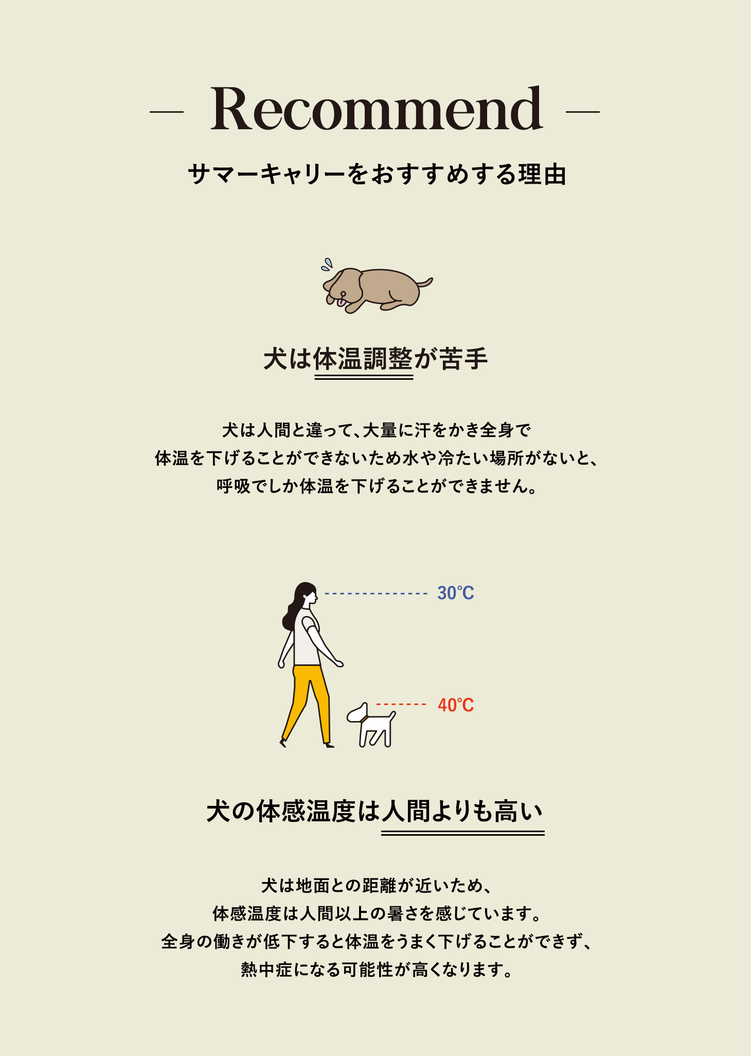 Citydog サマーキャリー 犬 シンプル トート キャリーバッグ メッシュ キャリーケース 通気性 鋲 涼しい 収納 キャリー 猫 Citydog サマーキャリー 犬 シンプル トート キャリーバッグ メッシュ キャリーケース 通気性 鋲 涼しい 収納 キャリー 猫