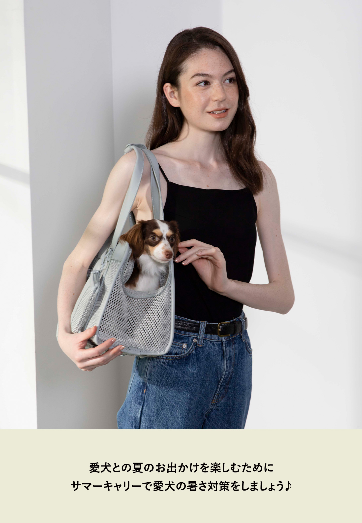 Citydog サマーキャリー 犬 シンプル トート キャリーバッグ メッシュ キャリーケース 通気性 鋲 涼しい 収納 キャリー 猫 Citydog サマーキャリー 犬 シンプル トート キャリーバッグ メッシュ キャリーケース 通気性 鋲 涼しい 収納 キャリー 猫